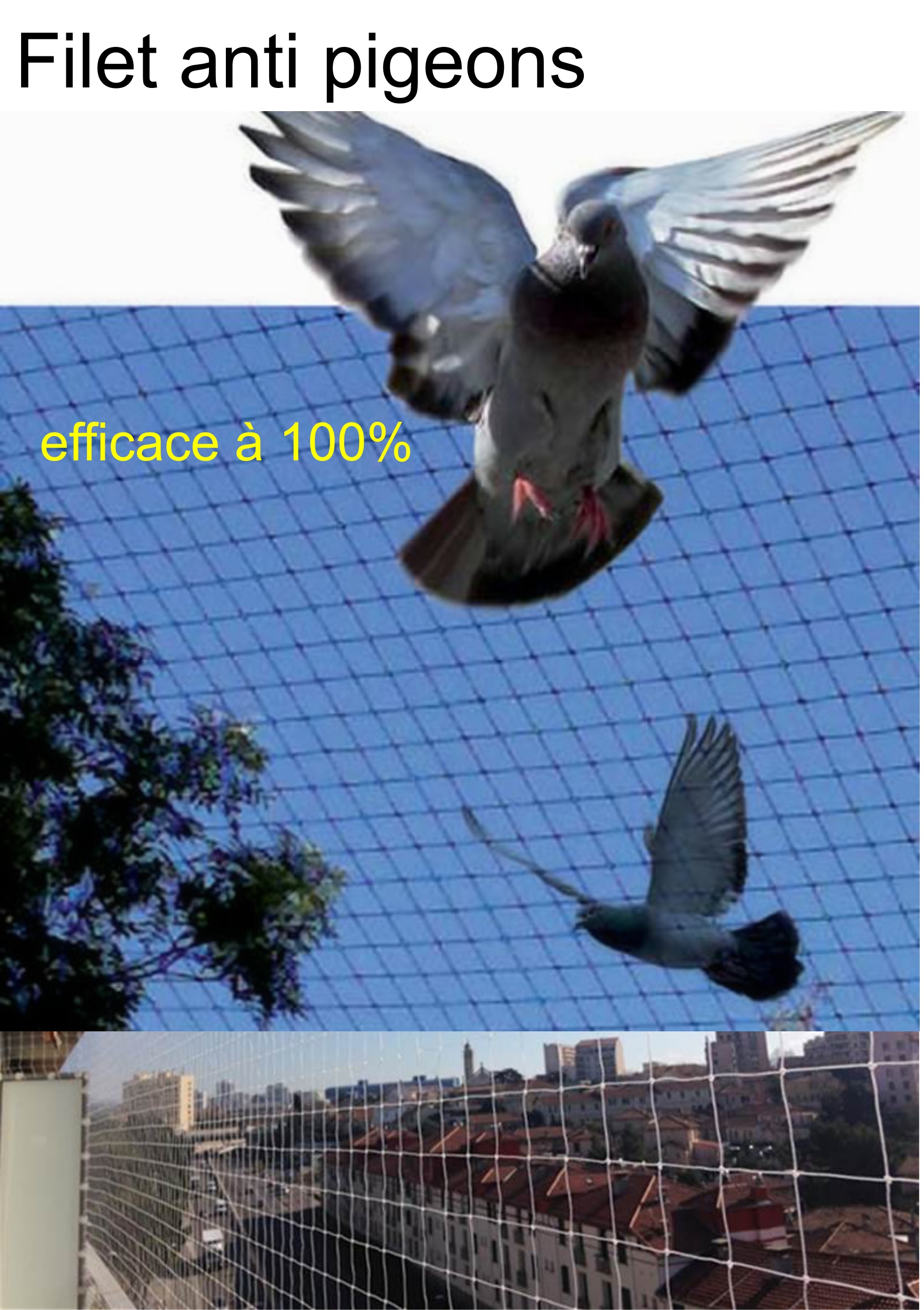 Filet anti pigeons efficace à 100%